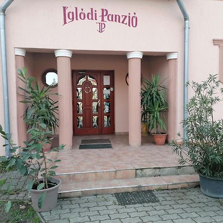 Отель Iglodi Panzio Kunszentmarton Экстерьер фото